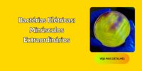 Bactérias Elétricas: Minúsculos Extraordinários
