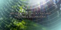 Artistas da Natureza: Criaturas Pintoras e Decoradoras
