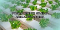 Fazendas Verticais Móveis na Agricultura Moderna