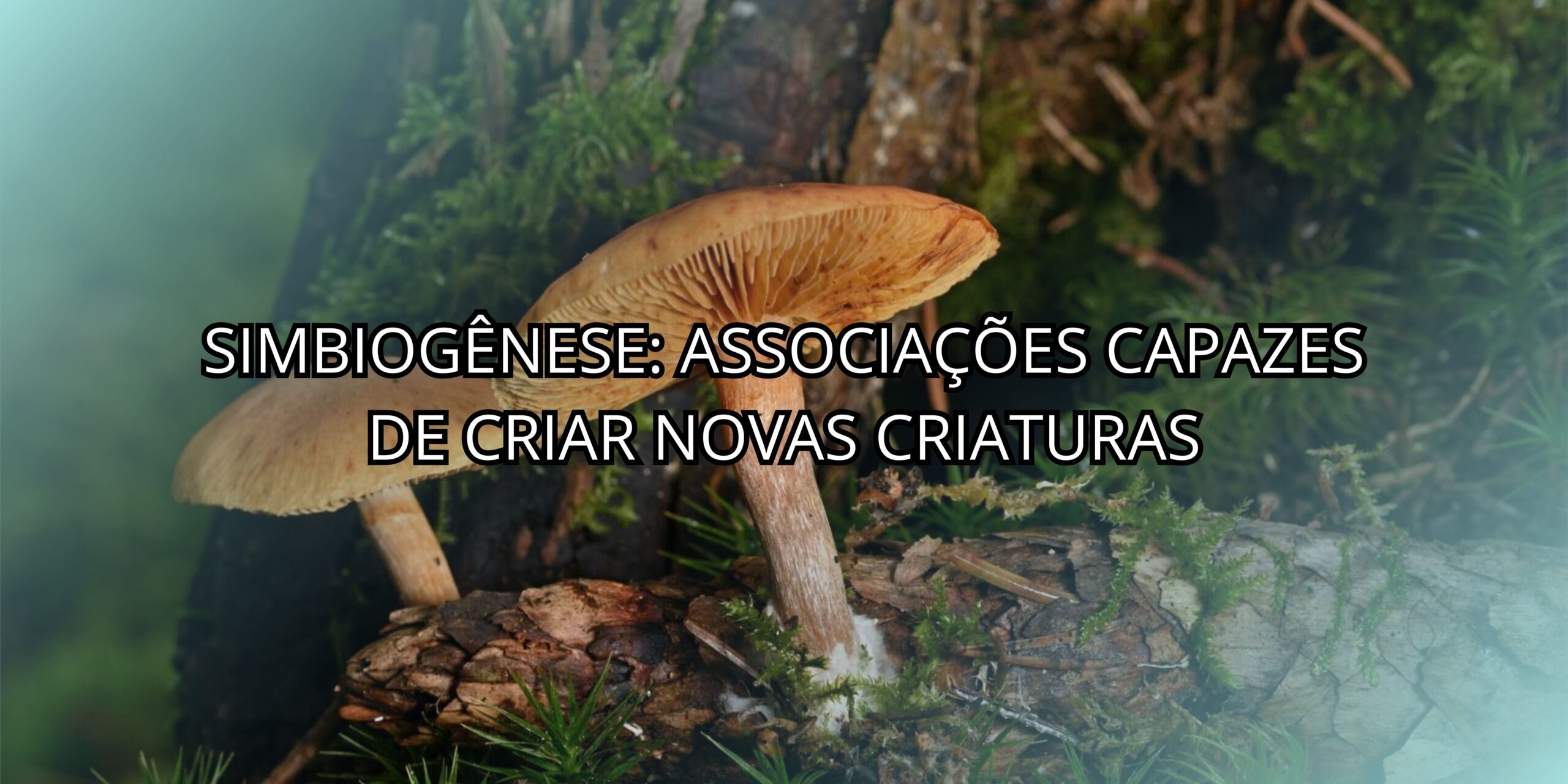 Simbiogênese: Associações Capazes de Criar Novas Criaturas - Economicore