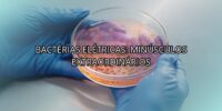 Bactérias Elétricas: Minúsculos Extraordinários