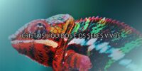 Cristais Líquidos e os Seres Vivos