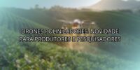Drones Polinizadores: Novidade Para Produtores E Pesquisadores