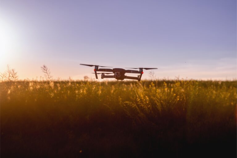 Drones Polinizadores: Novidade Para Produtores E Pesquisadores