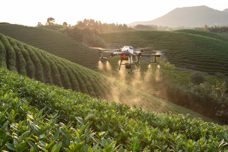 Drones Polinizadores: Novidade Para Produtores E Pesquisadores