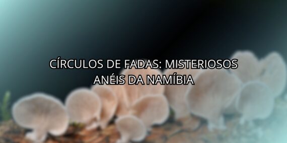 Círculos de Fadas: Misteriosos Anéis Da Namíbia