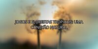 Jogos e Florestas Tropicais: Uma Conexão Natural