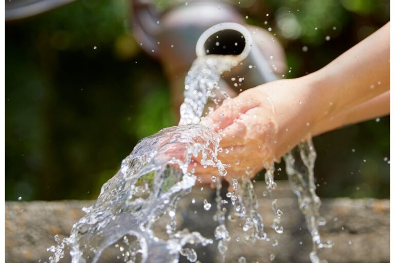 Apps Aliados Ao Planeta Que Salvam a Natureza!