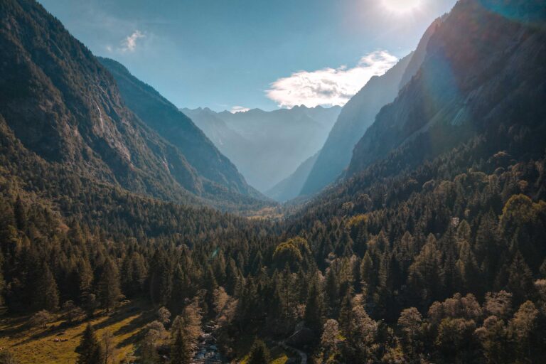 Jogos de Estratégia na Natureza: Jogabilidade Única!