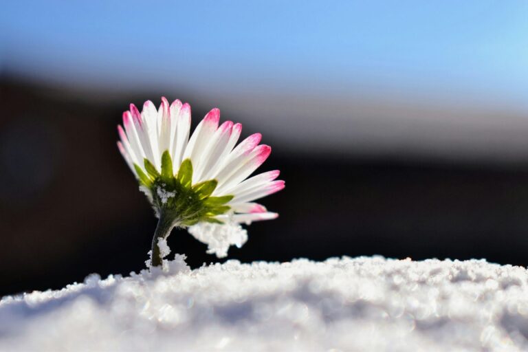 Simuladores De Tempo e Estações Do Meio Ambiente Com Jogos