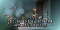 Descubra Hoje Os Jogos Sobre Insetos Polinizadores!