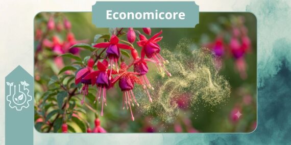 Apps for Tracking Flowering Seasons and Pollination